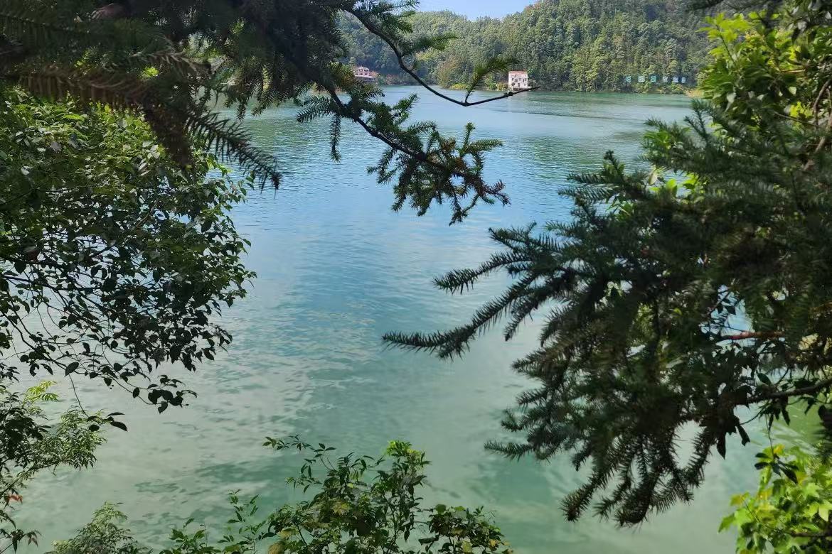 Yangming Lake